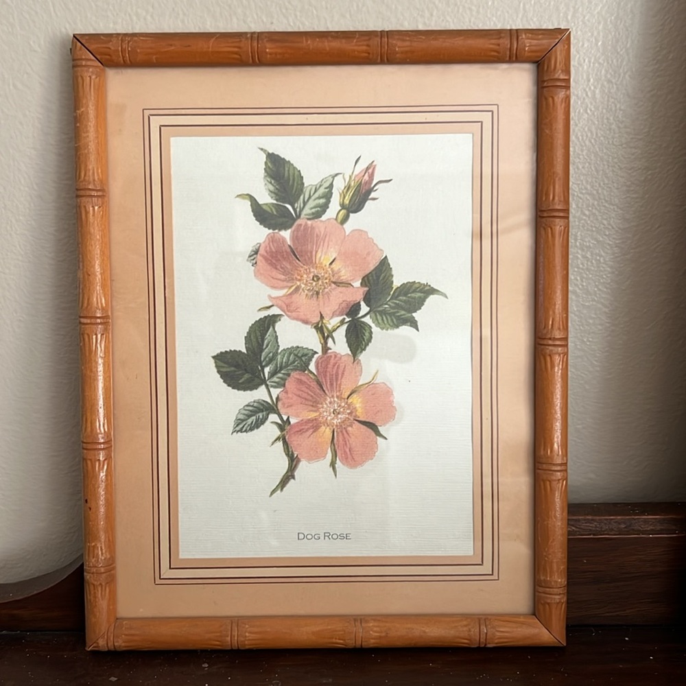 VTG Framed Botanical Image